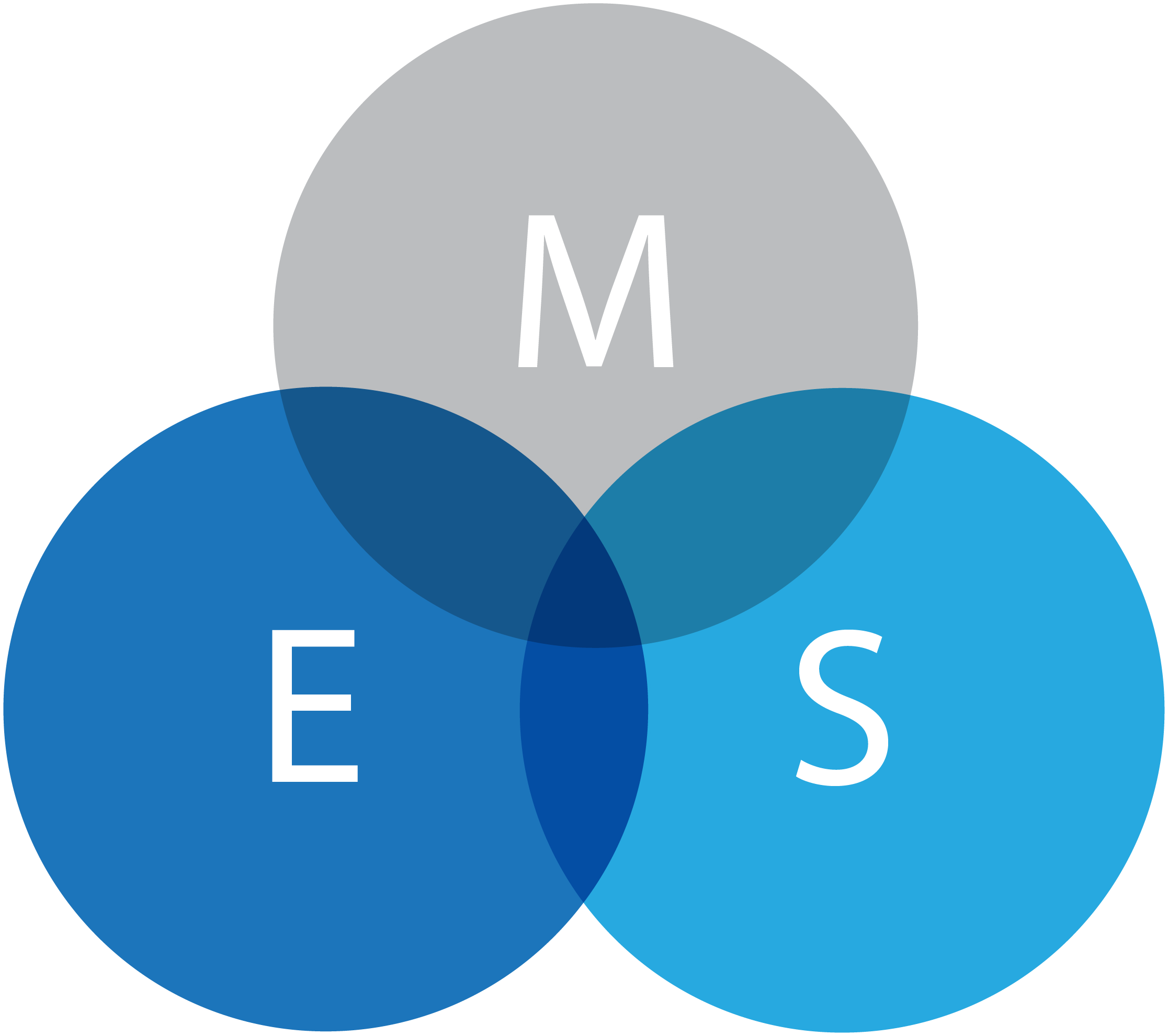 MES - Market Experience Services